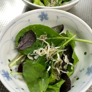 春菊間引き菜サラダ